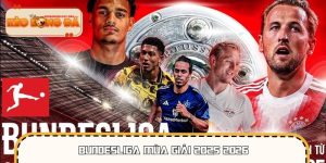Bundesliga Mùa Giải 2025 2026 – Tin Tức Mới Nhất Về BXH