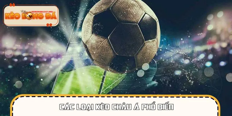 cach-choi-keo-chau-a-cac-loai