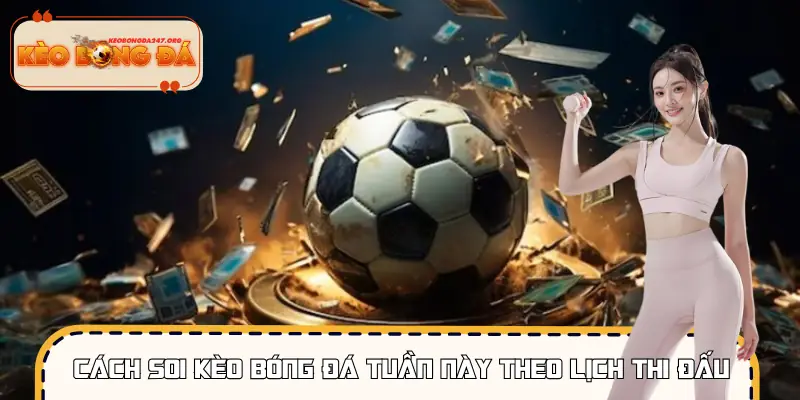 Các giải đấu được quan tâm nhiều để soi kèo bóng đá tuần này